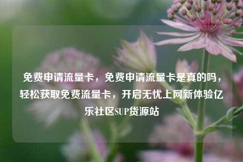 免费申请流量卡，免费申请流量卡是真的吗，轻松获取免费流量卡，开启无忧上网新体验亿乐社区SUP货源站  第1张