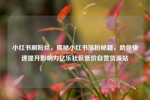 小红书刷粉丝	，揭秘小红书涨粉秘籍，助你快速提升影响力亿乐社区低价自营货源站  第1张