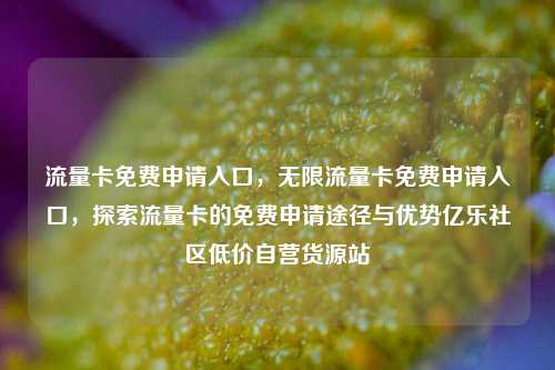 流量卡免费申请入口，无限流量卡免费申请入口，探索流量卡的免费申请途径与优势亿乐社区低价自营货源站  第1张