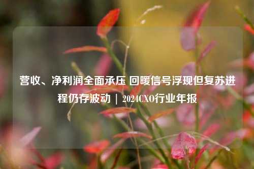 营收、净利润全面承压 回暖信号浮现但复苏进程仍存波动 | 2024CXO行业年报  第1张