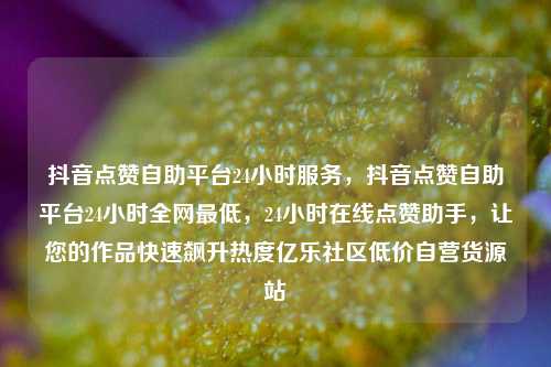 抖音点赞自助平台24小时服务，抖音点赞自助平台24小时全网最低，24小时在线点赞助手	，让您的作品快速飙升热度亿乐社区低价自营货源站  第1张
