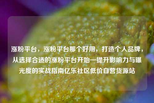 涨粉平台，涨粉平台那个好用，打造个人品牌	，从选择合适的涨粉平台开始—提升影响力与曝光度的实战指南亿乐社区低价自营货源站  第1张