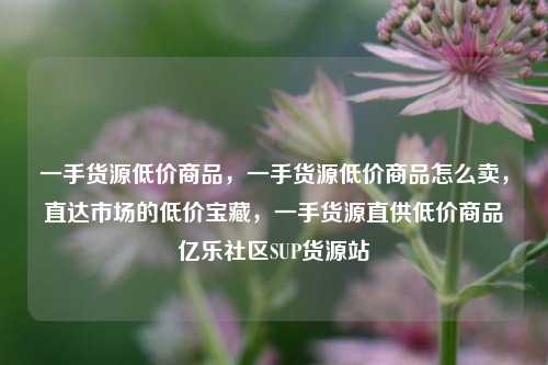 一手货源低价商品，一手货源低价商品怎么卖，直达市场的低价宝藏	，一手货源直供低价商品亿乐社区SUP货源站  第1张