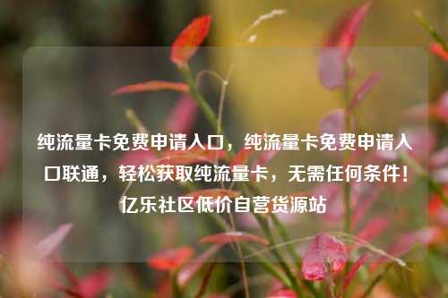 纯流量卡免费申请入口	，纯流量卡免费申请入口联通，轻松获取纯流量卡，无需任何条件！亿乐社区低价自营货源站  第1张