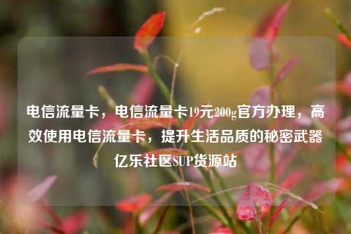 电信流量卡，电信流量卡19元200g官方办理，高效使用电信流量卡	，提升生活品质的秘密武器亿乐社区SUP货源站  第1张