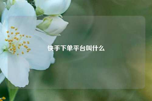 快手下单平台叫什么  第1张