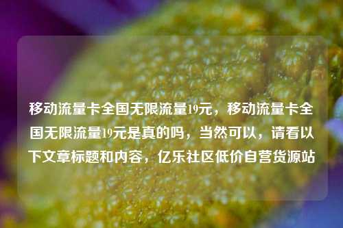 移动流量卡全国无限流量19元，移动流量卡全国无限流量19元是真的吗	，当然可以，请看以下文章标题和内容，亿乐社区低价自营货源站  第1张
