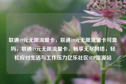 联通19元无限流量卡，联通19元无限流量卡可靠吗	，联通19元无限流量卡，畅享无尽网络，轻松应对生活与工作压力亿乐社区SUP货源站  第1张