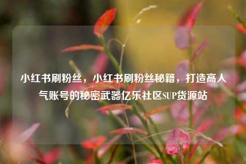 小红书刷粉丝，小红书刷粉丝秘籍	，打造高人气账号的秘密武器亿乐社区SUP货源站  第1张