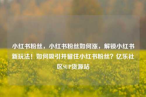小红书粉丝，小红书粉丝如何涨，解锁小红书新玩法！如何吸引并留住小红书粉丝？亿乐社区SUP货源站  第1张