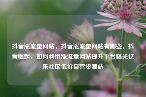 抖音涨流量网站，抖音涨流量网站有哪些	，抖音崛起，如何利用涨流量网站提升平台曝光亿乐社区低价自营货源站  第1张