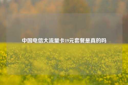 中国电信大流量卡19元套餐是真的吗  第1张