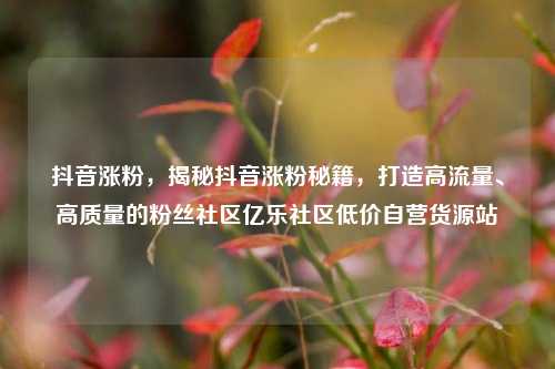 抖音涨粉，揭秘抖音涨粉秘籍	，打造高流量、高质量的粉丝社区亿乐社区低价自营货源站  第1张