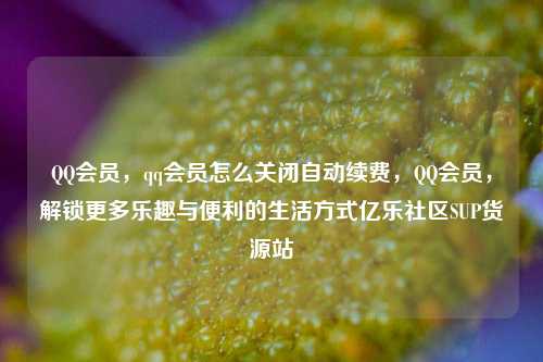 QQ会员，qq会员怎么关闭自动续费	，QQ会员，解锁更多乐趣与便利的生活方式亿乐社区SUP货源站  第1张
