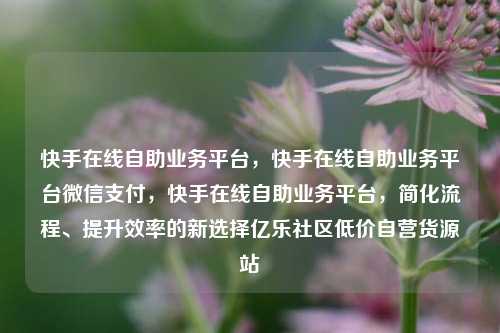 快手在线自助业务平台，快手在线自助业务平台微信支付，快手在线自助业务平台	，简化流程	、提升效率的新选择亿乐社区低价自营货源站  第1张