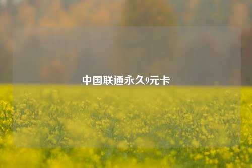 中国联通永久9元卡  第1张