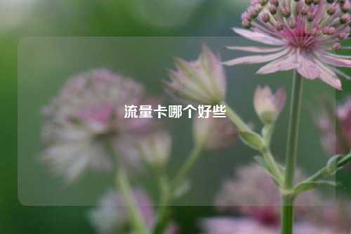 流量卡哪个好些  第1张