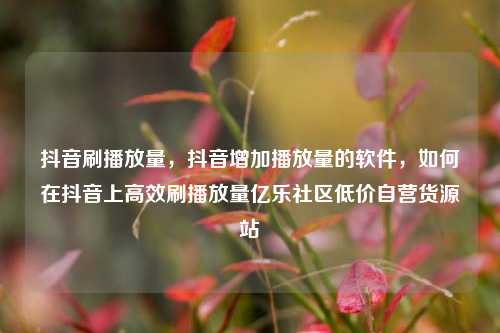 抖音刷播放量，抖音增加播放量的软件，如何在抖音上高效刷播放量亿乐社区低价自营货源站  第1张