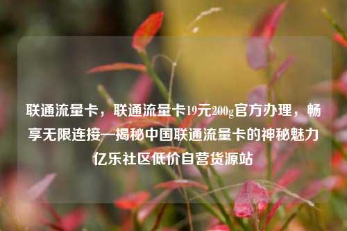 联通流量卡	，联通流量卡19元200g官方办理，畅享无限连接—揭秘中国联通流量卡的神秘魅力亿乐社区低价自营货源站  第1张