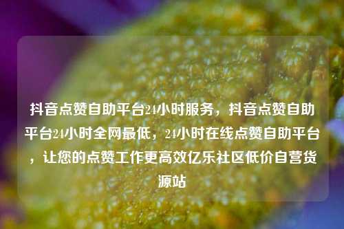 抖音点赞自助平台24小时服务	，抖音点赞自助平台24小时全网最低，24小时在线点赞自助平台，让您的点赞工作更高效亿乐社区低价自营货源站  第1张