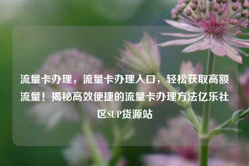 流量卡办理，流量卡办理入口	，轻松获取高额流量！揭秘高效便捷的流量卡办理方法亿乐社区SUP货源站  第1张