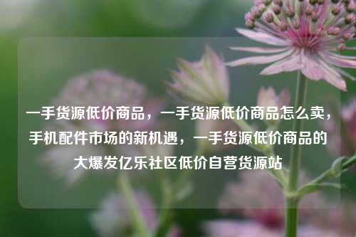 一手货源低价商品，一手货源低价商品怎么卖	，手机配件市场的新机遇，一手货源低价商品的大爆发亿乐社区低价自营货源站  第1张
