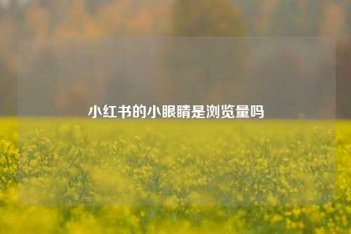 小红书的小眼睛是浏览量吗  第1张