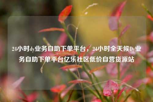 24小时dy业务自助下单平台，24小时全天候Dy业务自助下单平台亿乐社区低价自营货源站  第1张