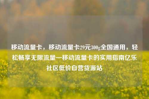 移动流量卡，移动流量卡29元300g全国通用	，轻松畅享无限流量—移动流量卡的实用指南亿乐社区低价自营货源站  第1张