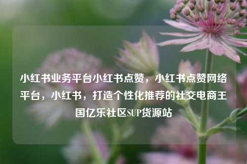 小红书业务平台小红书点赞，小红书点赞网络平台	，小红书，打造个性化推荐的社交电商王国亿乐社区SUP货源站  第1张