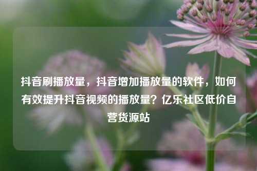抖音刷播放量，抖音增加播放量的软件，如何有效提升抖音视频的播放量？亿乐社区低价自营货源站  第1张