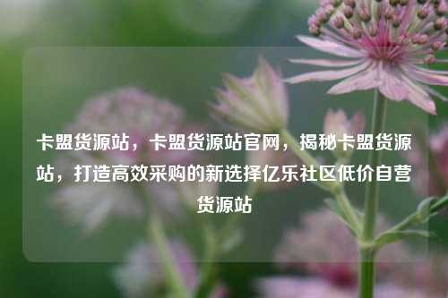 卡盟货源站，卡盟货源站官网，揭秘卡盟货源站	，打造高效采购的新选择亿乐社区低价自营货源站  第1张