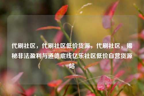 代刷社区，代刷社区低价货源	，代刷社区，揭秘非法盈利与道德底线亿乐社区低价自营货源站  第1张