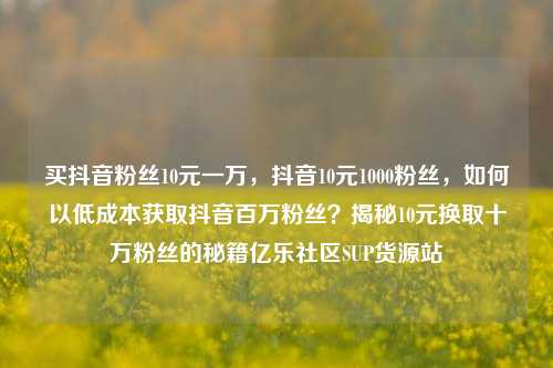 买抖音粉丝10元一万，抖音10元1000粉丝，如何以低成本获取抖音百万粉丝？揭秘10元换取十万粉丝的秘籍亿乐社区SUP货源站  第1张