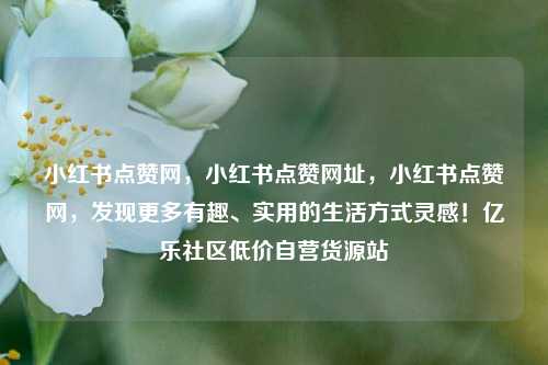 小红书点赞网	，小红书点赞网址，小红书点赞网，发现更多有趣	、实用的生活方式灵感！亿乐社区低价自营货源站  第1张