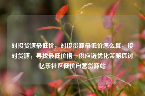 对接货源最低价，对接货源最低价怎么算，接对货源，寻找最低价格—供应链优化策略探讨亿乐社区低价自营货源站  第1张