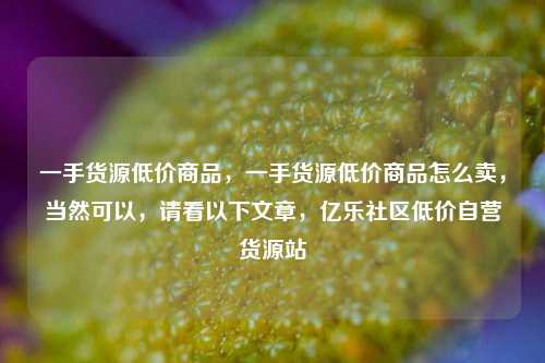 一手货源低价商品，一手货源低价商品怎么卖	，当然可以，请看以下文章，亿乐社区低价自营货源站  第1张