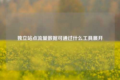 独立站点流量数据可通过什么工具展开  第1张