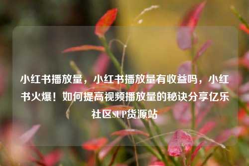 小红书播放量，小红书播放量有收益吗，小红书火爆！如何提高视频播放量的秘诀分享亿乐社区SUP货源站  第1张